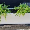 Aflang Smal hvid Plantekrukke med struktur - 80cm