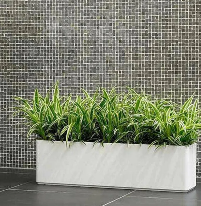 Aflang Smal hvid Plantekrukke med struktur - 80cm
