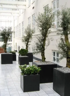 Firkantet indendørs kubisk sort eller grå krukke i fiberstone
