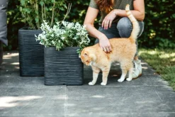 Firkantet square krukke rib black - 40x40 + 50x50cm - Livstidsgaranti