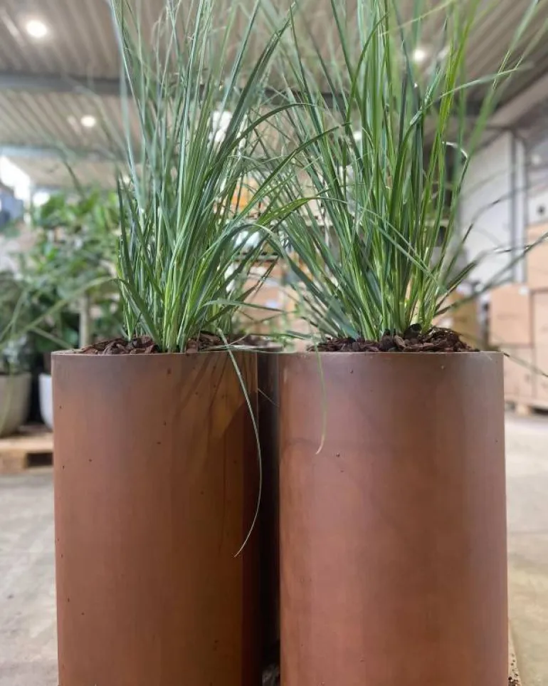 Høj cylinder krukke i corten stål rust - H.60cm + H.80cm