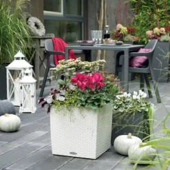 Hvide Lechuza Cube cottage krukker med selvvanding / TILBUD - 8stk