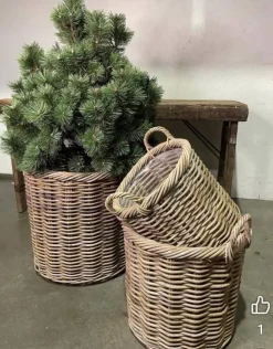 Krukker i rattan med plastindsats og twisted kant Ø.55cm / SÆT