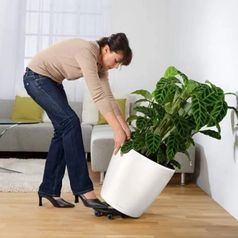 Lechuza Classico Premium Ø.50cm - m/u hjul / selvvanding - 6 farver
