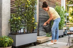 Lechuza plantekummer med selvvanding / NYE STONE FARVER