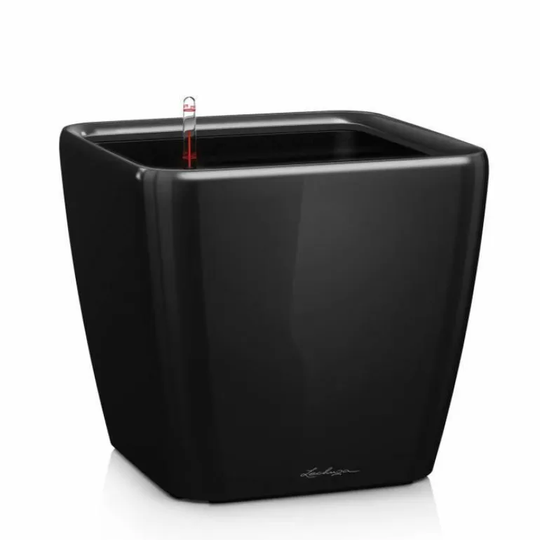Lechuza Quadro krukker m/u hjul - Ø.35 + Ø.43 + Ø.50 - 6 farver - M/U Hjul
