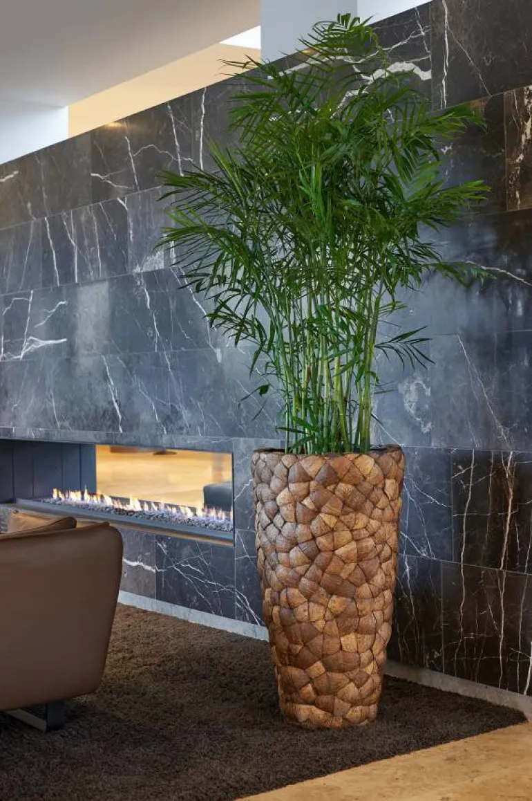 Store Høje indendørs Krukker med Coconut - 3str
