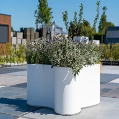 Store organic plantekasser i glasfiber - Udendørs + Indendørs