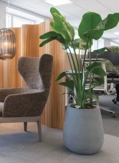 Stor konisk sort eller grå plantekrukke - 2 str.