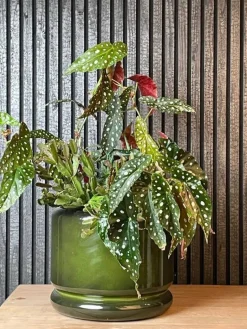 Upcycled plantepotter i metal - Sæt med 3stk - Kastanje + Gråblå + Flaskegrøn
