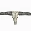 Widehorn trofæ i polystone - 84cm